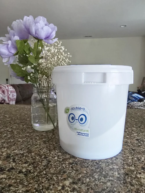 best home cleaner